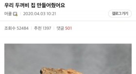 두꺼비 집 만들어준 디시인