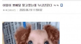 누나를 울린 디시인